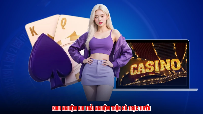 Kinh nghiệm khi trải nghiệm trận gà trực tuyến