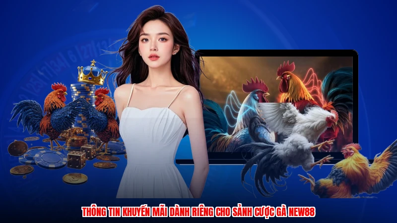 Thông tin khuyến mãi dành riêng cho sảnh cược gà NEW88