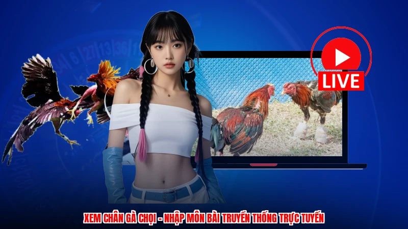 Xem Chân Gà Chọi - Nhập Môn Bài Truyền Thống Trực Tuyến