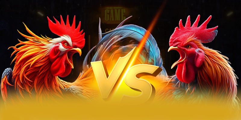 [THUONG_HIEU] - Đánh giá tổng thể một cách tổng quan.
