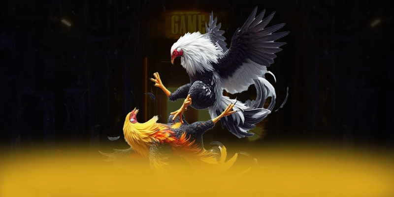 FB88 - Sân chơi có danh mục game hấp dẫn hiện nay FB88 - Sân chơi có danh mục game hấp dẫn hiện nay
