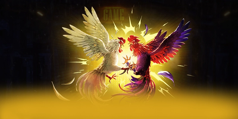 FB88 - Đánh giá tổng thể một cách tổng quan.